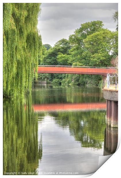 View of the Jarrold Bridge and Willows, Norwich Print by Sally Lloyd