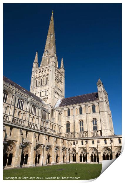 Majestic Norwich Cathedral Print by Sally Lloyd