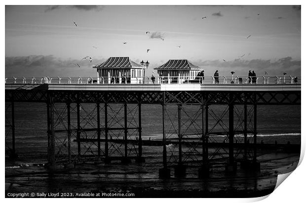 Cromer Pier a moody mono view  Print by Sally Lloyd