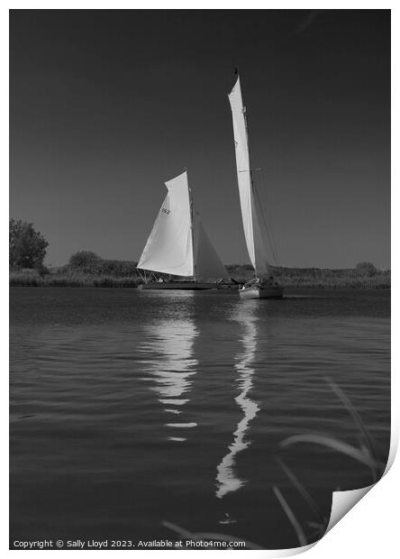 River Cruisers racing at Thurne, Norfolk Print by Sally Lloyd