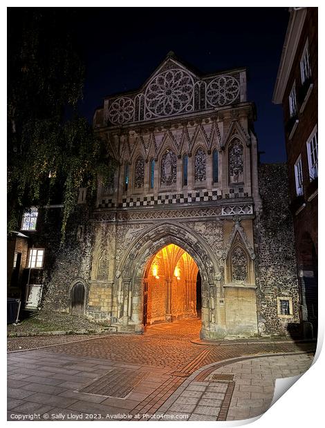 Ethelbert Gate at Norwich Cathedral Print by Sally Lloyd