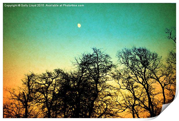  Vintage Moon and trees Print by Sally Lloyd