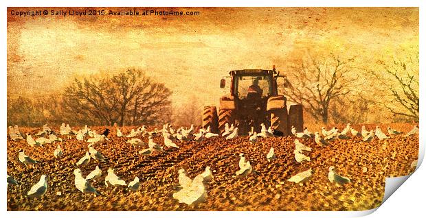  Tractor vintage style Print by Sally Lloyd