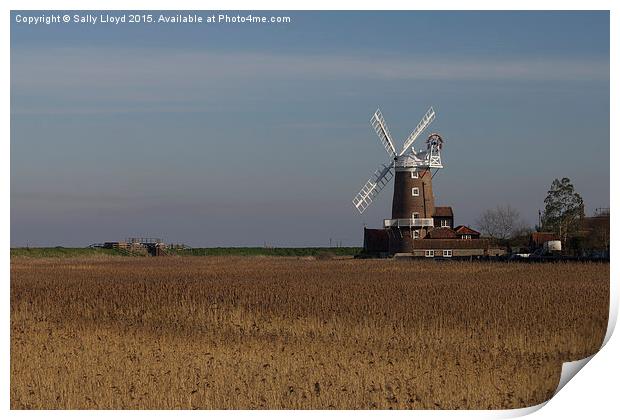  Cley Windmill north Norfolk  Print by Sally Lloyd