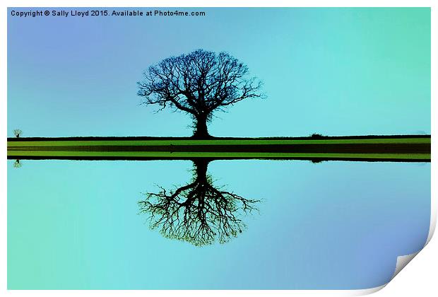 Solitary tree in blue symmetry Print by Sally Lloyd