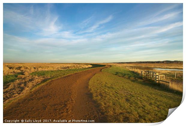 The winding path to Cley Print by Sally Lloyd