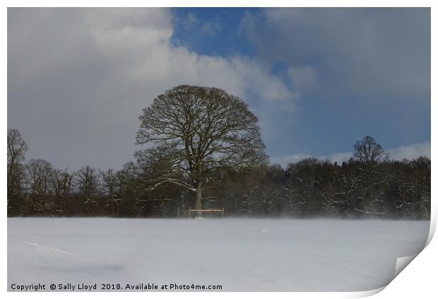 Snow drift tree. Print by Sally Lloyd