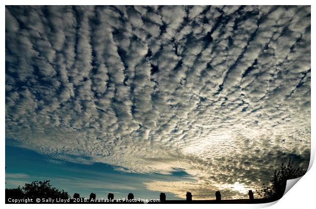 Under a Mackerel Sky Print by Sally Lloyd