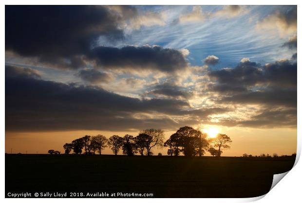 Wintry Norfolk Sunset Print by Sally Lloyd