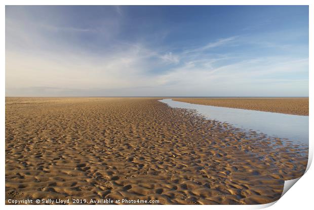 Into the distance at Holkham Norfolk  Print by Sally Lloyd