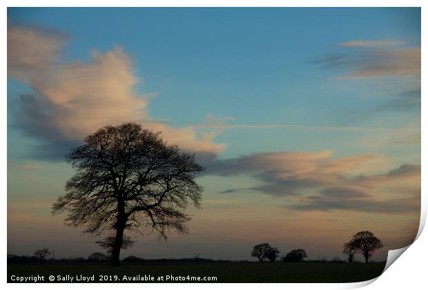 Standing against a sunset sky. Print by Sally Lloyd