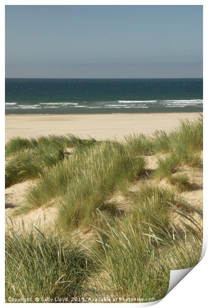 Through the marram grass dunes at Holkham beach Print by Sally Lloyd