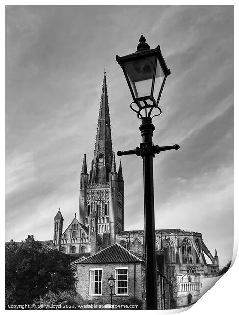 Norwich Cathedral black and white  Print by Sally Lloyd