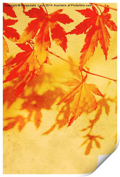 Old, autumnal dreamy, brown background  Print by Malgorzata Larys