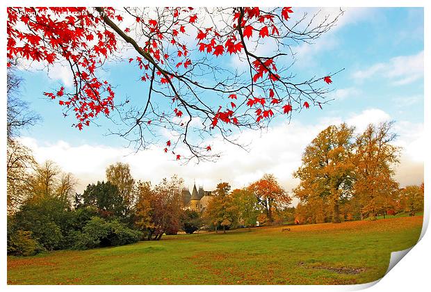 Beautiful, sunny autumn in the park of Falkirk Print by Malgorzata Larys