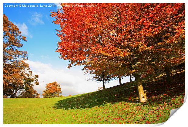 Wonderful autumnal scene in the park of Falkirk, S Print by Malgorzata Larys