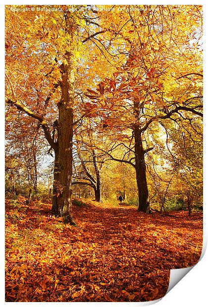 Beautiful Autumn in Motherwell Park, Scotland Print by Malgorzata Larys