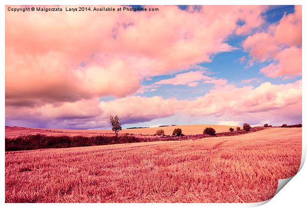 Beautiful dreamy fields in Scotland Print by Malgorzata Larys