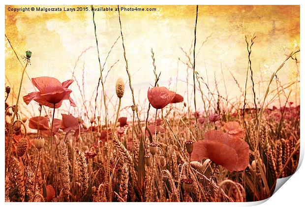 Beautiful grungy background with poppies Print by Malgorzata Larys