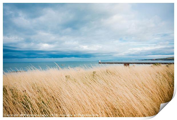 Beautiful landscape with a lighthouse, Berwick Upo Print by Malgorzata Larys