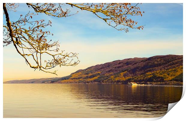 The Search for Nessie Print by Ellie Rose