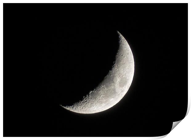 Crescent Moon Print by Ellie Rose