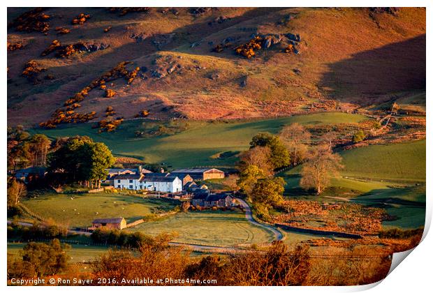 Trout-beck at first light Print by Ron Sayer