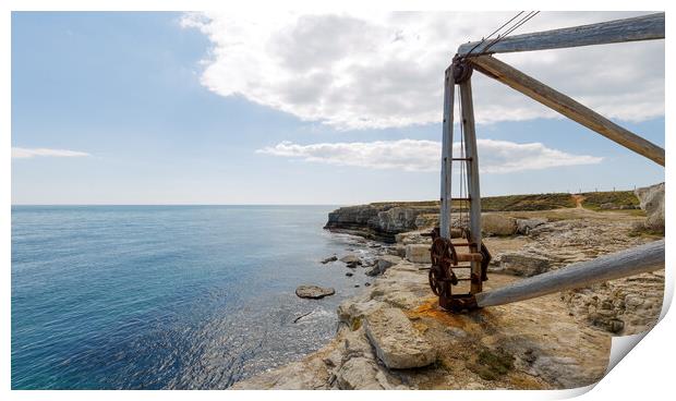 Crane at Portland Bill Print by Mark Godden