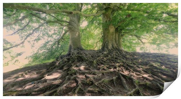 Avebury Beech Trees Print by Mark Godden