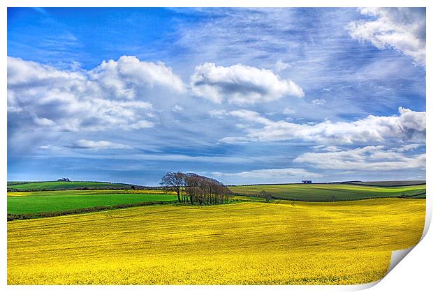  Summer Fields Print by Mark Godden