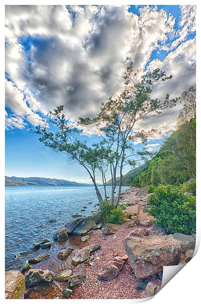  Tree at Loch Ness Print by Mark Godden