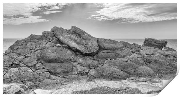 Fossil tree burrs at the 'Fossil Forest' on Dorset Print by Mark Godden