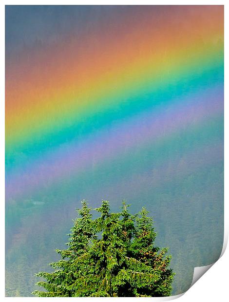  I can sing a rainbow Print by Judith Lightfoot