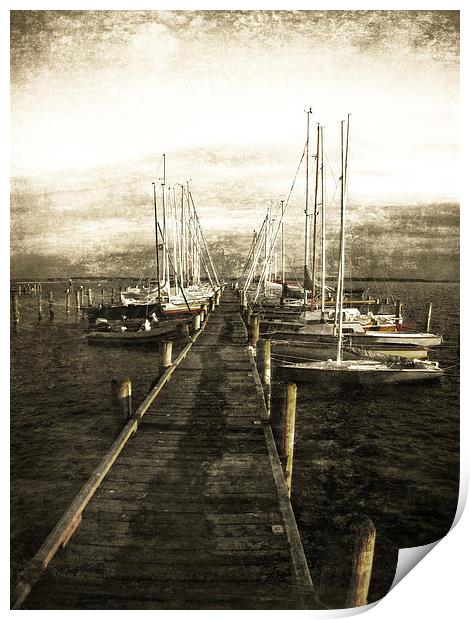  Overlooking The Yacht Dock Gray Print by Florin Birjoveanu