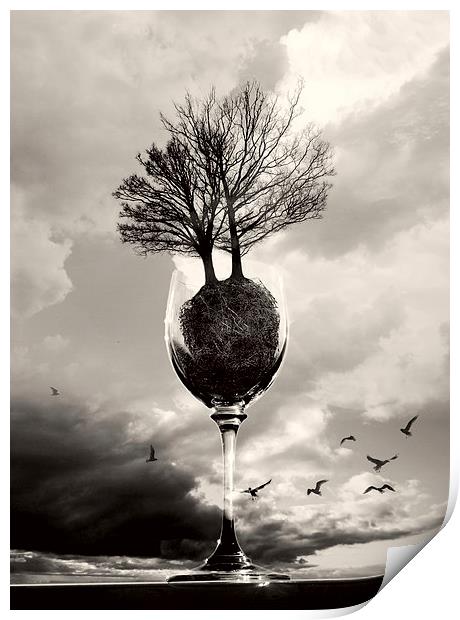 Glass Of Tree B&W Print by Florin Birjoveanu