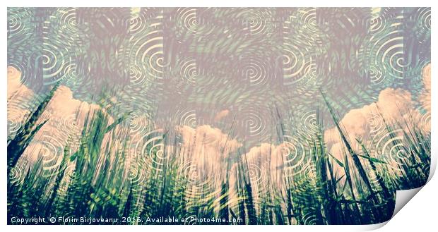 Clouds Grasses Print by Florin Birjoveanu