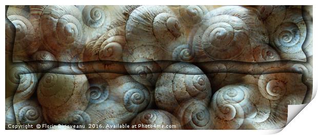 Trimmed Snails Print by Florin Birjoveanu