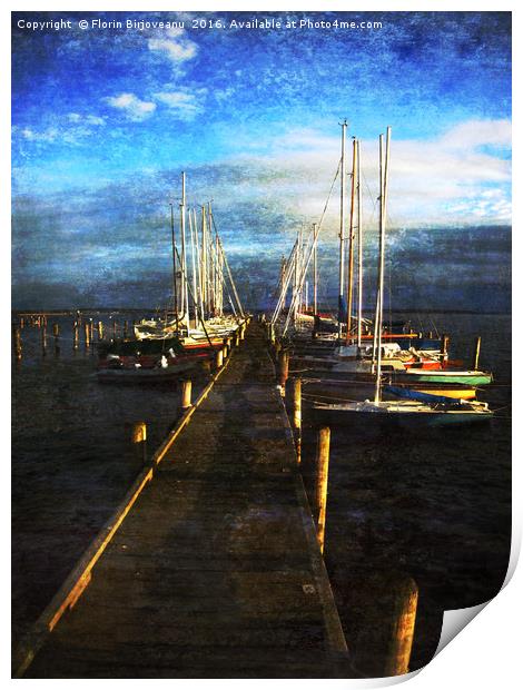 Overlooking The Yacht Dock Print by Florin Birjoveanu