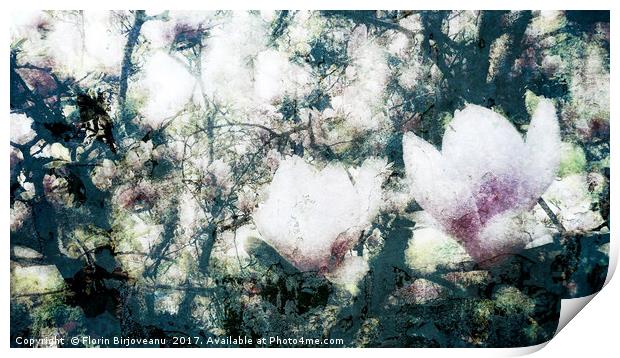 Magnolia Bearing Print by Florin Birjoveanu