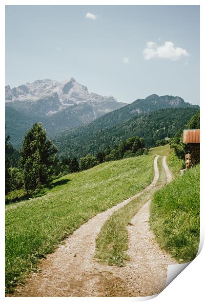 Pathway In Alps Mountains Print by Patrycja Polechonska