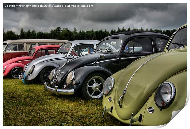  VW Beetles Print by shawn bullock