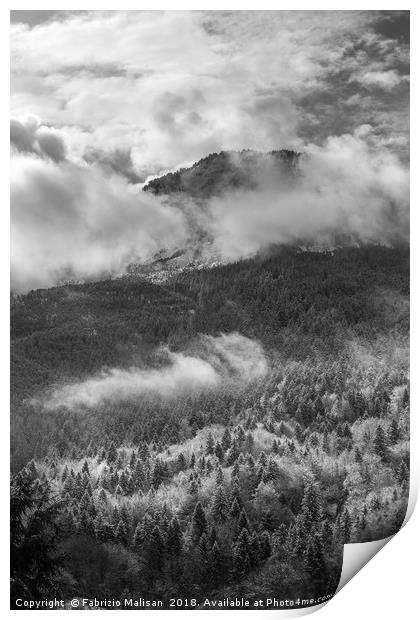 Atmospheric Mountain Woods Print by Fabrizio Malisan