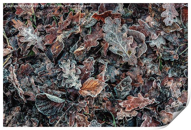  Frosted Autumn Leaves Print by Andy Hough