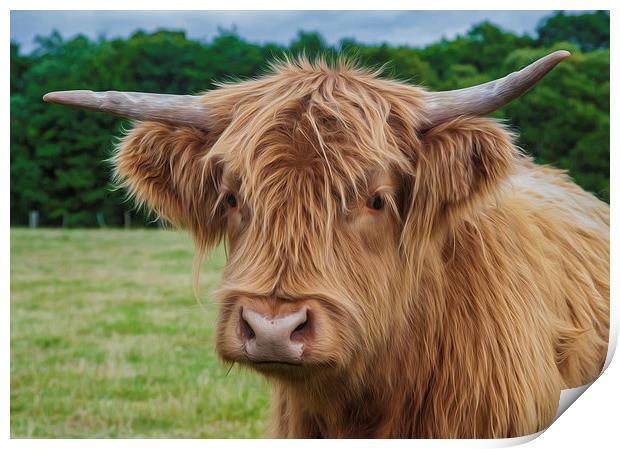  Highland Cow Print by Tanya Hall