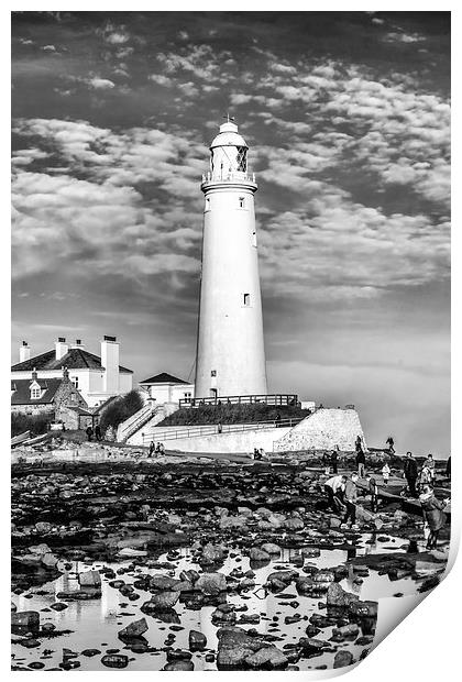 St. Mary's Lighthouse Print by Tanya Hall