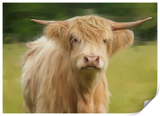  Oil And Chalk Painted Highland Cow Print by Tanya Hall