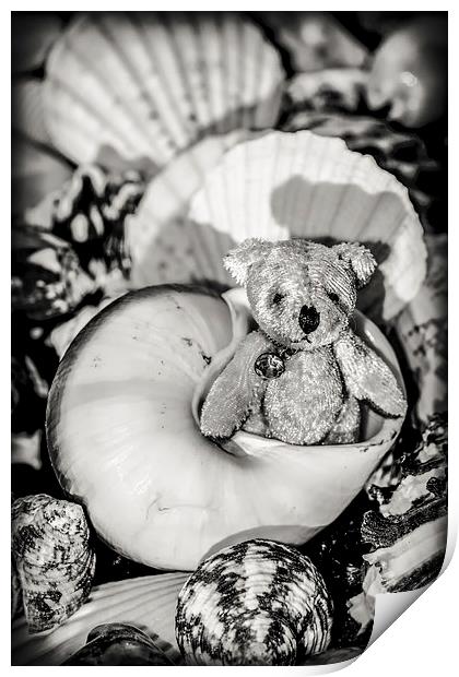   The Little Hermit Teddy Bear Print by Tanya Hall