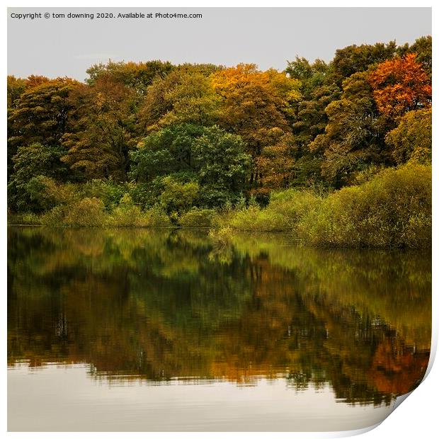 Autumn reflection  Print by tom downing