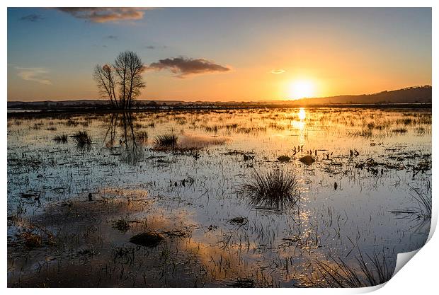 Flooded Levels in Somerset Print by Bob Small