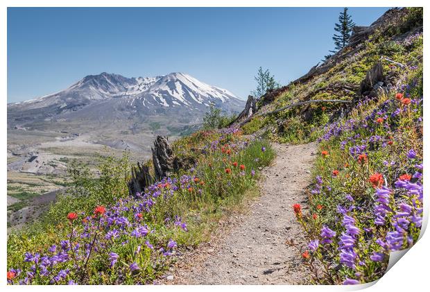 Mount St Helens  Print by Bob Small